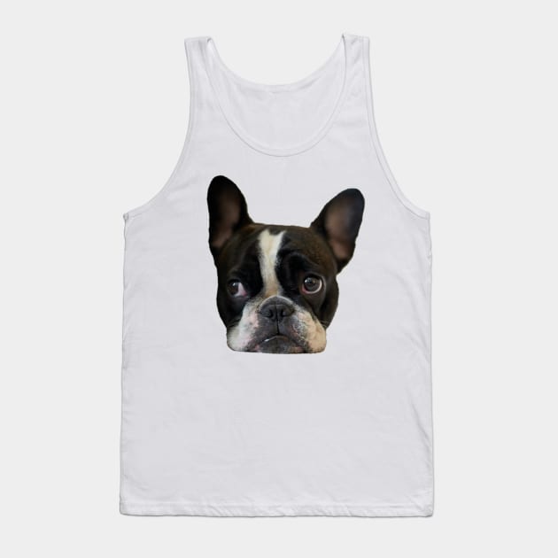 Funny french bulldog puppy Tank Top by Teeject